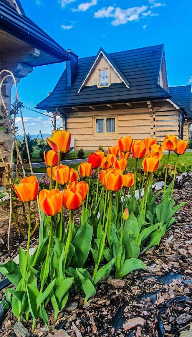 Domki Gorskie Janosik, Kwicol I Pyzdra Gliczarów Esterno foto